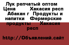 Лук репчатый оптом › Цена ­ 16 - Хакасия респ., Абакан г. Продукты и напитки » Фермерские продукты   . Хакасия респ.